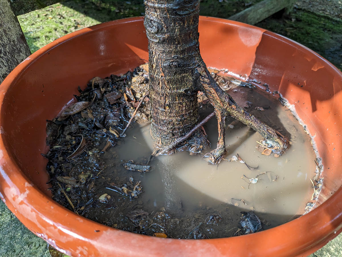 Waterlogging waterlogging